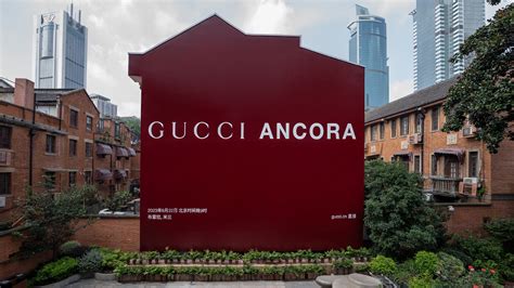 gucci ancora shanghai|Shanghai ancora.